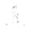 Hide and seek world champion