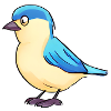 Bird motif