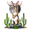 Jackalope Lapin