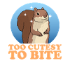 Cute Squirrel Squirrel Gift