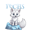 Fuchs Polarfuchs Schneefuchs Arktis Polar
