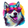 Bunte Alaskan Husky mit Sonnenbrille
