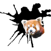 Red panda, Fissure