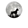Hund Boxer Hundebesitzer Geschenkidee