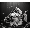 Schwarzer Fisch