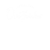 Professional Overthinker - Inspirational