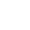 Ariel