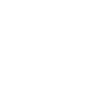 Dragon chinois fantastique