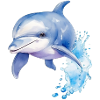Blue Dolphin