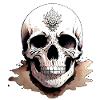Sand Skull collection Goth