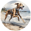 A Happy Lurcher