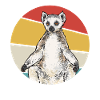 Lemur Catta Ring-tailed lemur