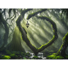 Enchanted forest