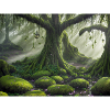 Forest spirits