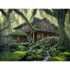 magical house in the woods