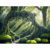 Forest of Magic