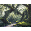 Forest of Magic