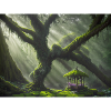 Enchanted forest