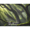 magical forest
