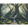 enchanted forest