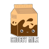 Choccy Milk Chocolate Milk Drink