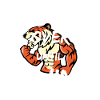 Life Attitude Challenge Tiger Strength
