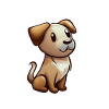 Dogs