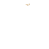 Bock auf Trampolin
