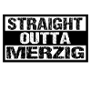 merzig saar