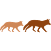 Foxes 2