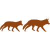 foxes