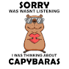 Capybara Wasserschwein Capybaras