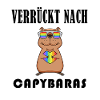 Capybara Wasserschwein Capybaras