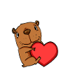 Capybara Wasserschwein Capybaras