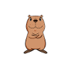 Capybara Wasserschwein Capybaras