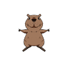 Capybara Wasserschwein Capybaras