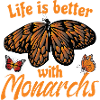 Citation mignon monarque papillon