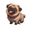 Mops Pug Hund Mops Gaver Mops Lovers
