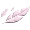 PINK FEATHERS FALLING