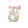 Chinchilla Funny Girl