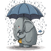 Rainy Days