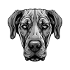 Great Dane Dog Portrait