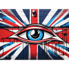 Big Brother - Somebody's Watching You