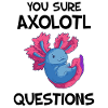 You Sure Axolotl Questions