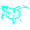 Sea Turtle (Neon)