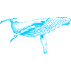 Blue Whale (Neon)