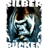 Silberrücken2