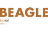 Beagle Definition