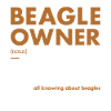 Beagle Owner Definition