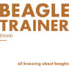 Beagle Trainer Definiton